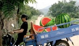 最近大瓜事件,揭秘明星隐私风波背后的真相